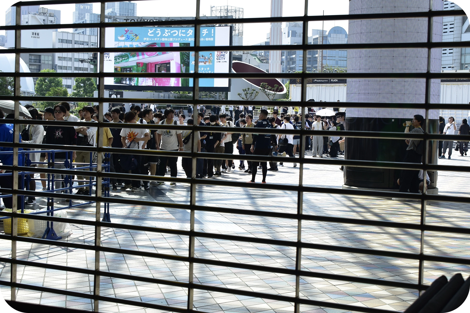 ２８回のスポーツフェスティバルの東京ドームの雰囲気